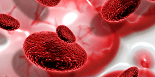 homeopathic treatment for thalassemia