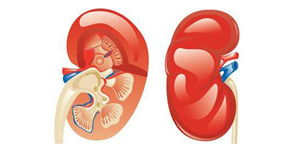 homeopathy treatment for nephrotic syndrome