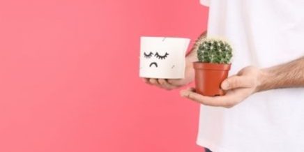 Fistula vs Fissure _ drpositivehomeopathy Fistula vs Fissure _ drpositivehomeopathy