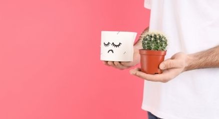 Fistula vs Fissure _ drpositivehomeopathy Fistula vs Fissure _ drpositivehomeopathy